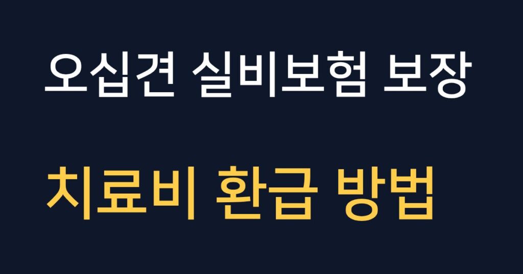 오십견 치료 시 실비보험 보장 범위와 치료비 환급 방법을 정리한 안내 이미지